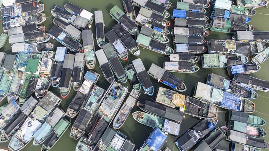 Bão Fengshen ảnh hưởng đáng kể miền Nam Trung Quốc